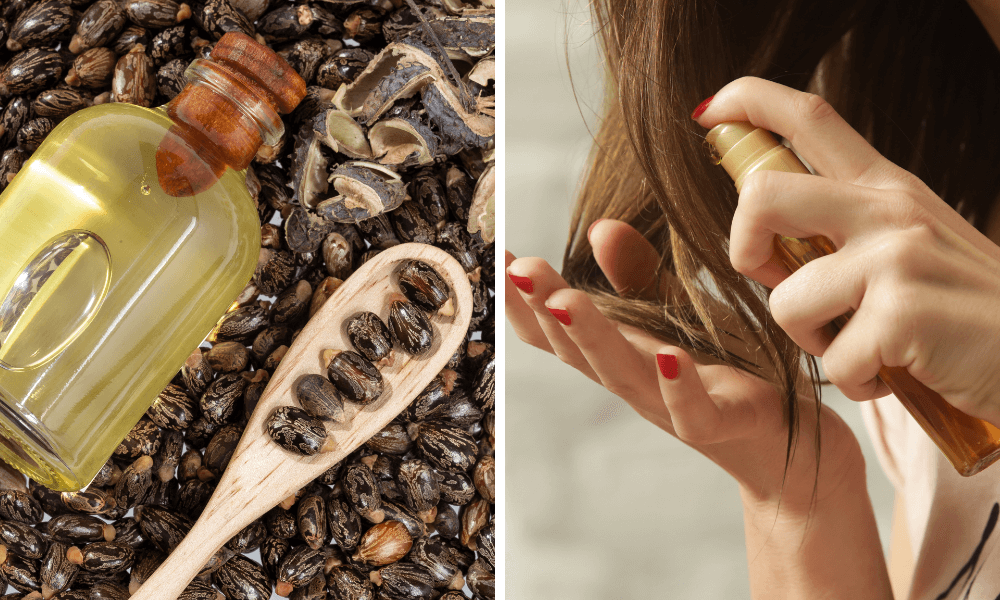 castor oil dry hair