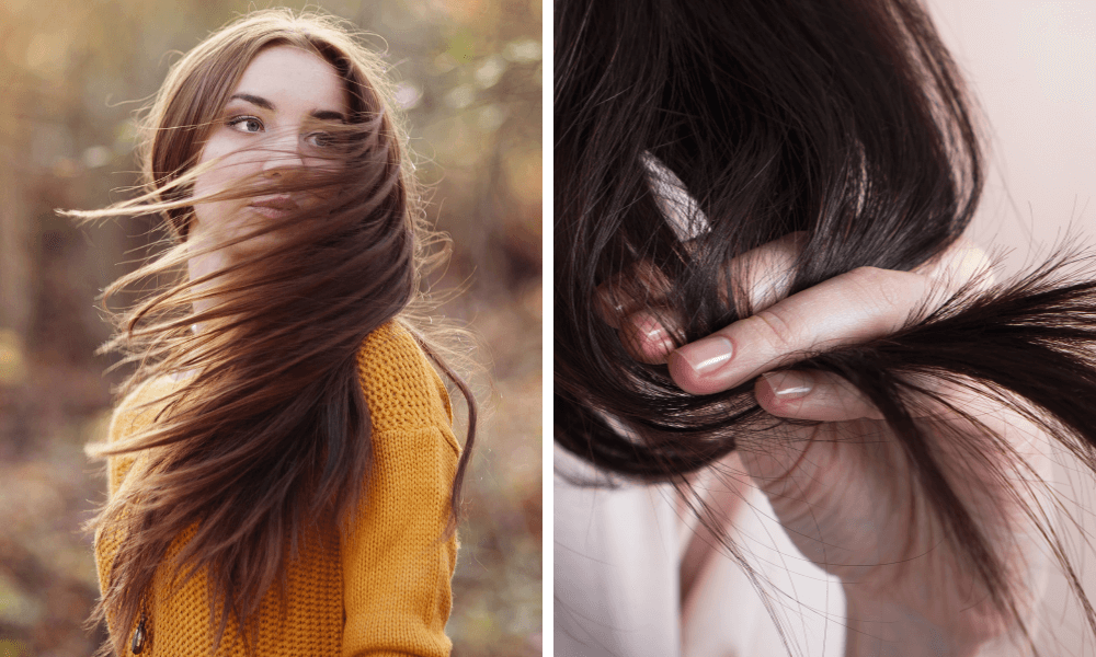 autumn hair care