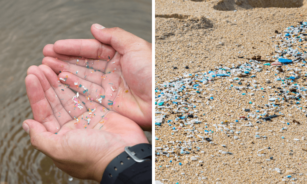 to ban microplastics