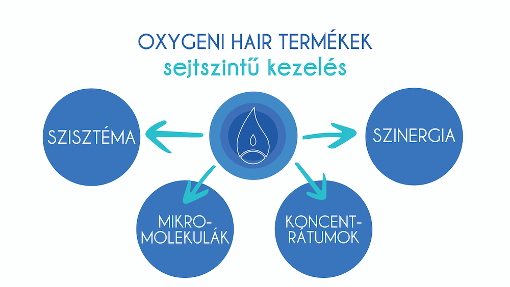hajgyogyasz-kepzes-hajgyogyasz-oktatas-017.png