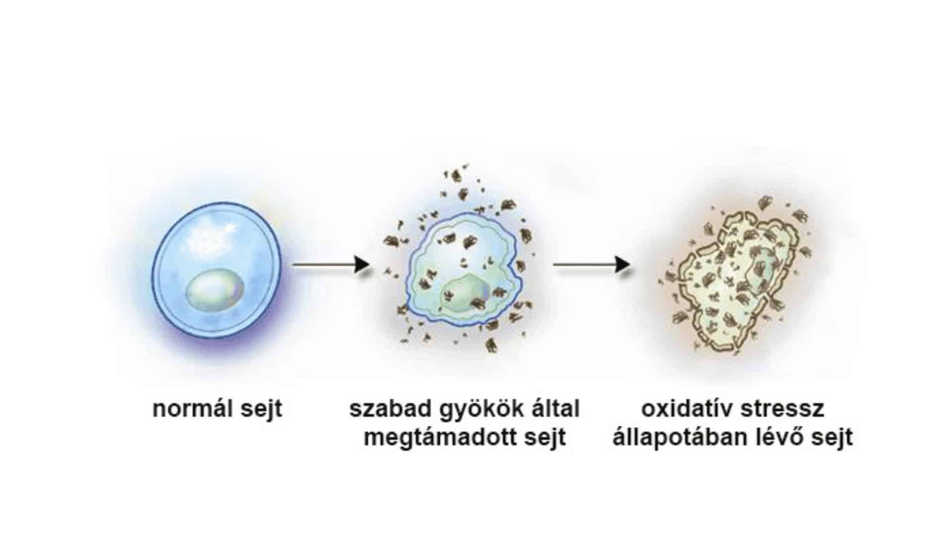 kozmetikus-tovabbkepzes-kozmetikus-kepzes-016.jpg